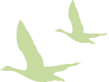 geese1_edited_edited_edited_edited_edited.png