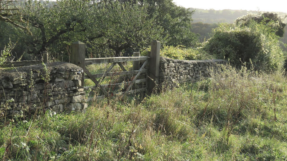 drystonewall