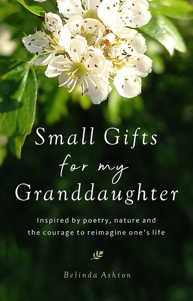 COVER - c.jpg