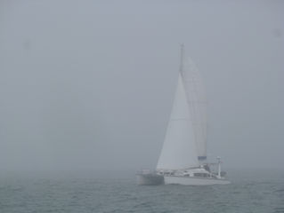 Nos voiles