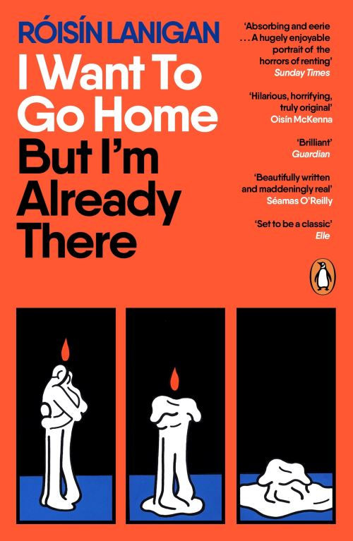 I Want to Go Home but I'm Already There by Róisín Lanigan