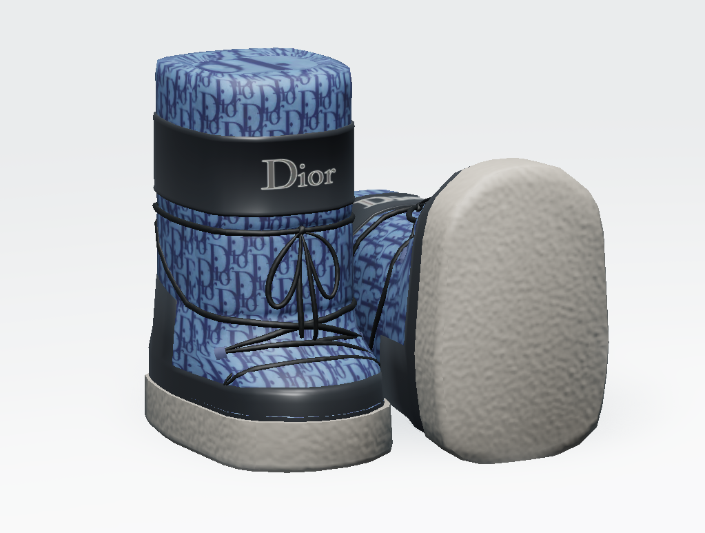 Dior Moonboots