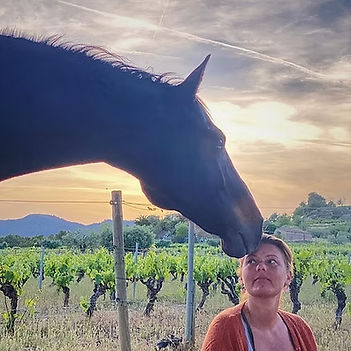 horses_edited_edited.jpg
