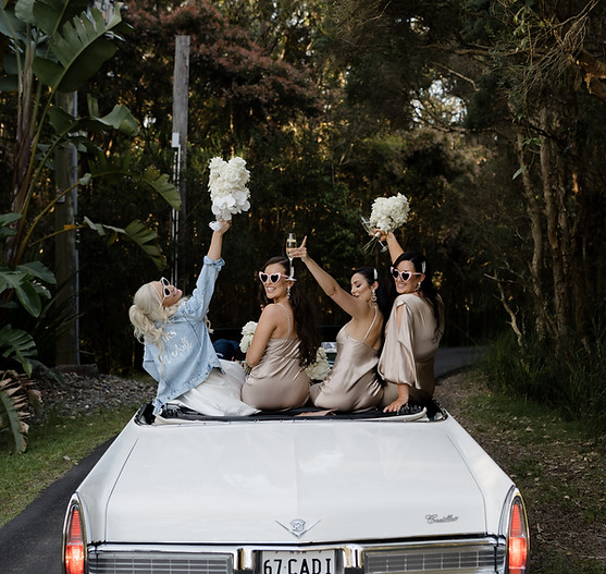 Say i do