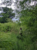 Foraging for weaving materials