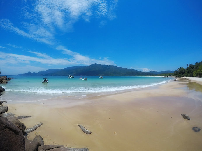 Lopes Mendes.jpeg