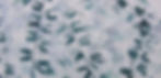 White Crane/Proximity from the Edge