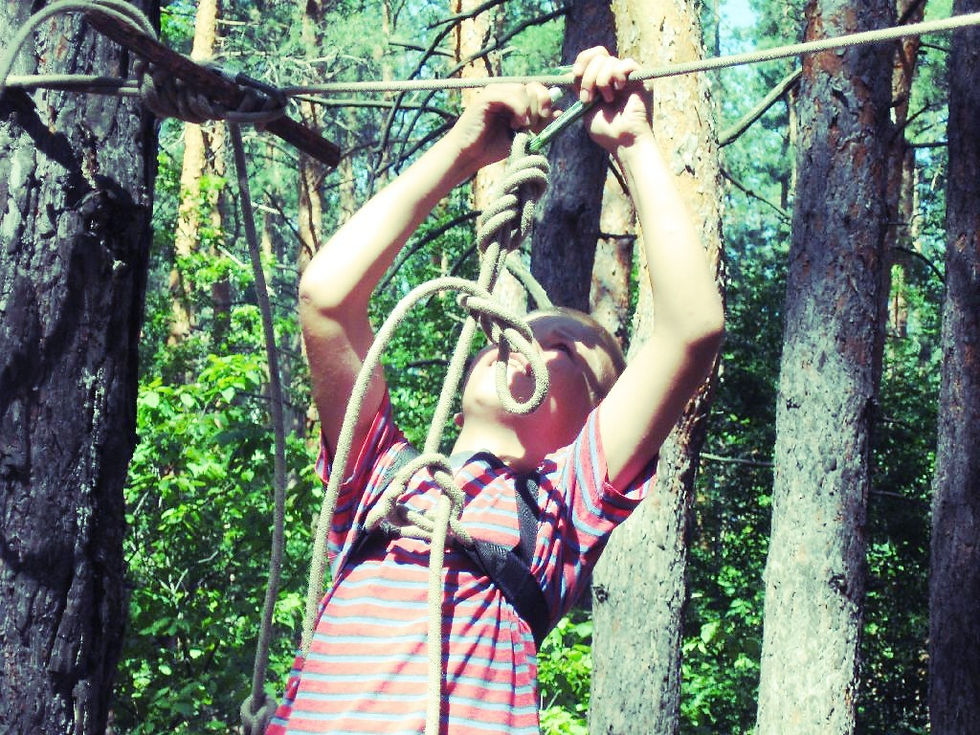 IMG_5599.JPG 2013-10-17-12:34:56