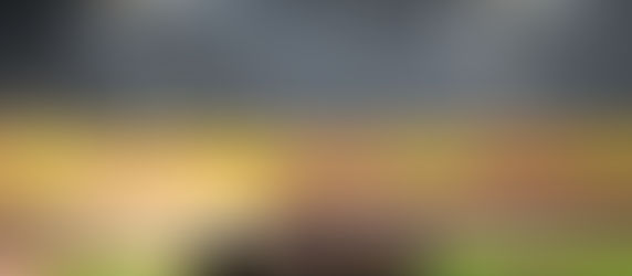 Pirelli Temukan Robekan Pada Ban Akibat Menghantam Gravel Baru Di Pinggir Kerb