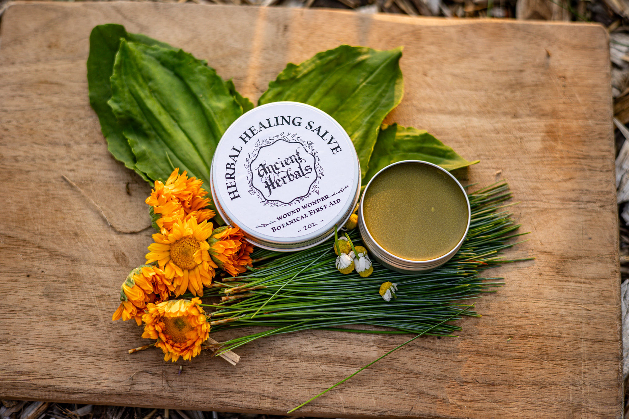 Herbal Healing Salve
