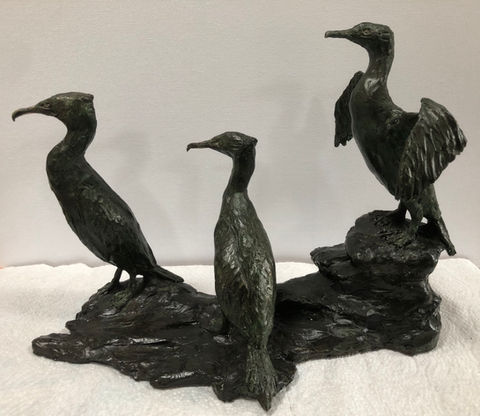 Cormorants