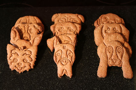 Photo of our breed biscuits