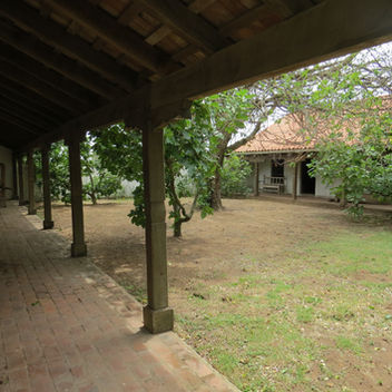 IMG_3766.jpeg