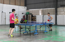 Ping Pong