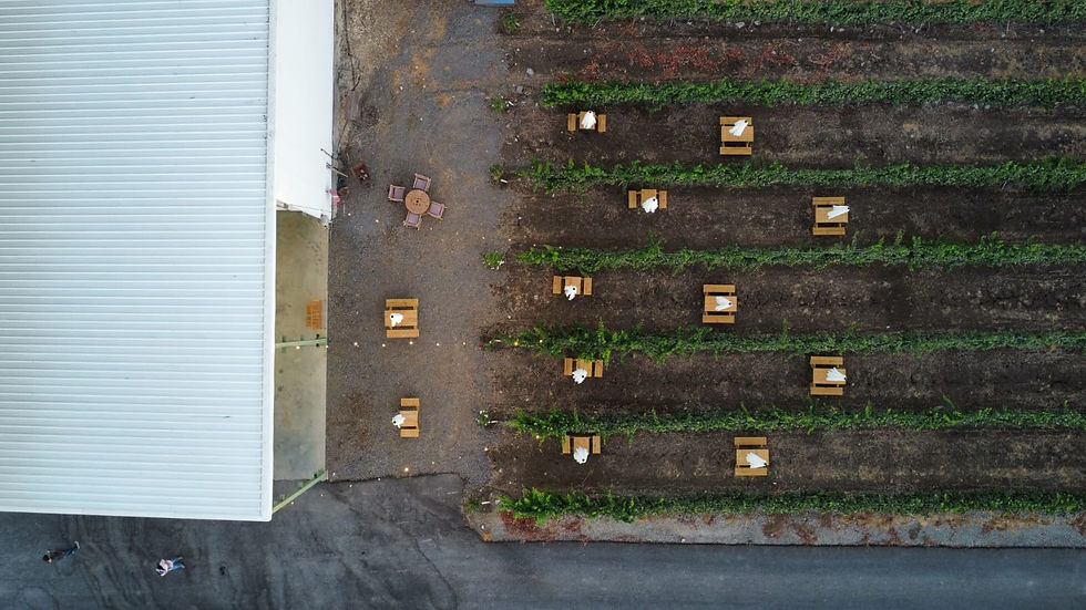 תמונת רקע.JPG