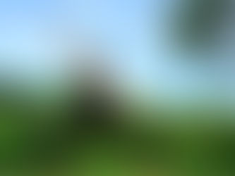 Personal branding strategies for yoga instructors in Singapore