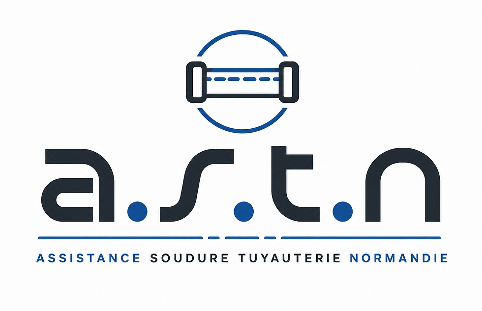 LOGO ACTU.png