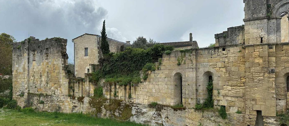 Unforgettable Day Trips from Bordeaux: Truffle Hunting, Wine Adventures, and Cognac Tastings