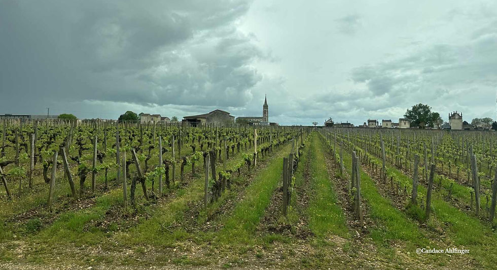 Vineyards Line French Roads