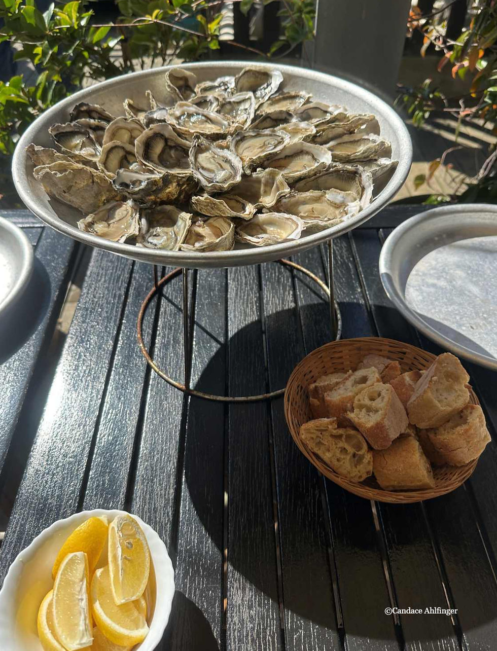 Chez Yannick Oysters