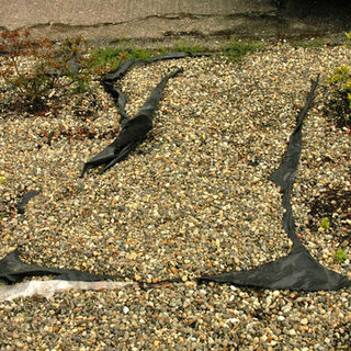 Landscape fabric resurfaces!