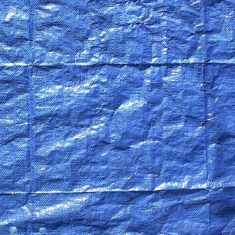 Common Blue Tarp!