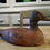 Thumbnail: Decoy Duck with Brown Feathers