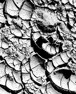 60365_471144811969_1240247_n