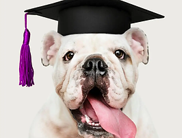 bulldog graduation.png