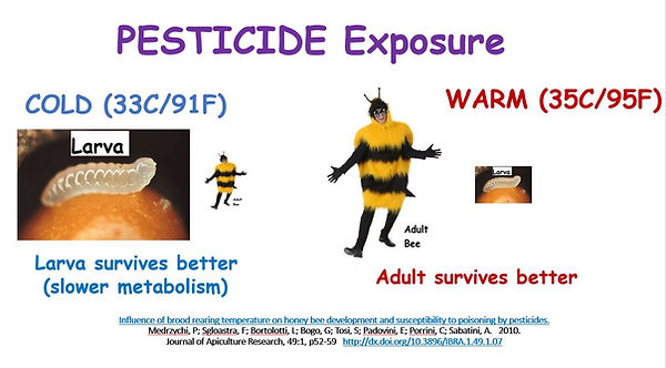 pesticides.JPG