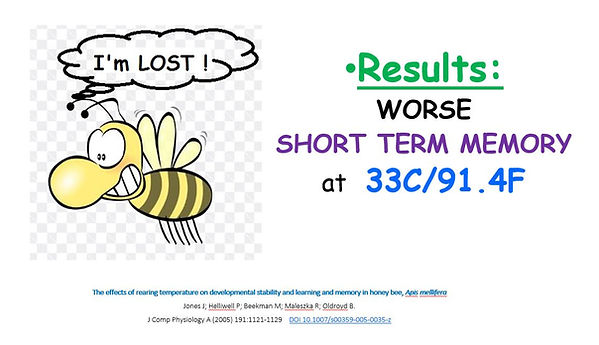 short term memory worse.JPG