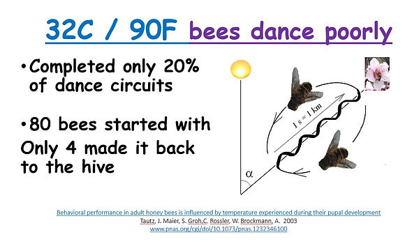 dance poorly.JPG