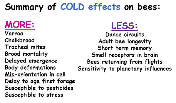 Summary cold effects on bees.JPG