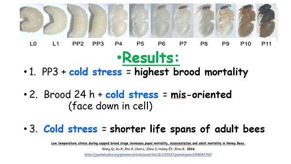 shorter life spans.JPG