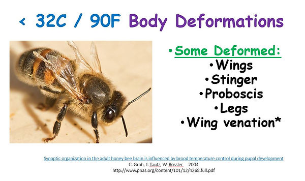 body deformations.JPG