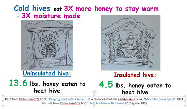 cold hives eat 3X more honey.JPG