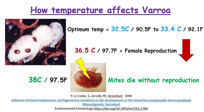 varroa and temp.JPG