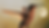 Copy of Jemma Website Mock-up-2.png