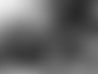 The Birdman of Kankakee