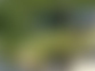 Rallye des Gazelles and Men (mixte)