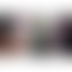 HAIR & SCALP 3 | Foods for hair strength and skin conditions