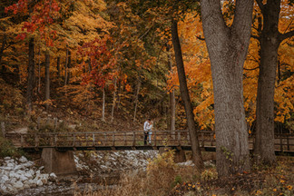 Newly engaged couple taking photos at a forest preserve during the fall months, where the the tree colors are bright orange and yellow