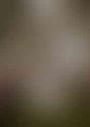 wedding ceremony photos in afield of trees and tall grasses