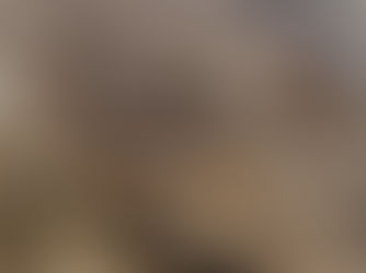 SEASON OF RENEWAL