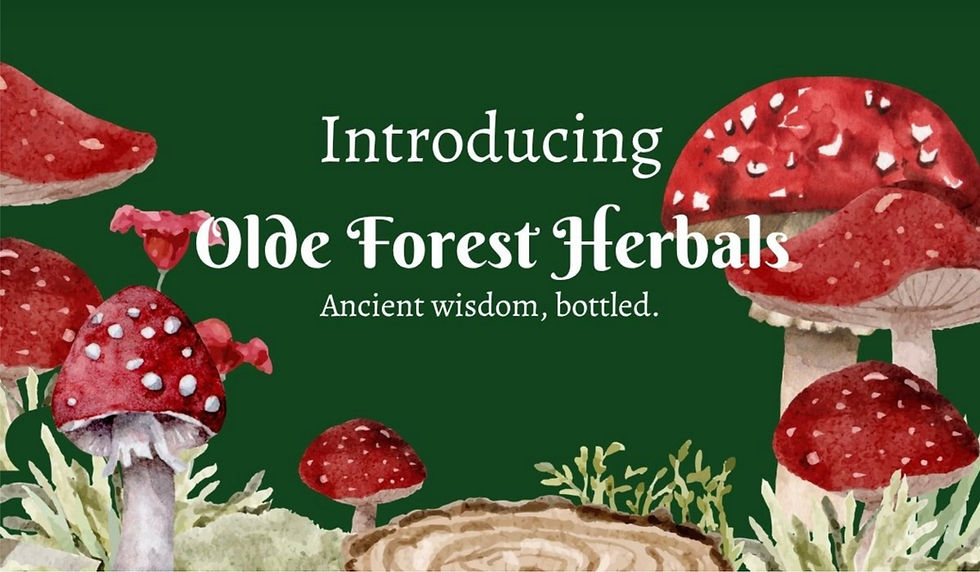 Launch of Herbal Products