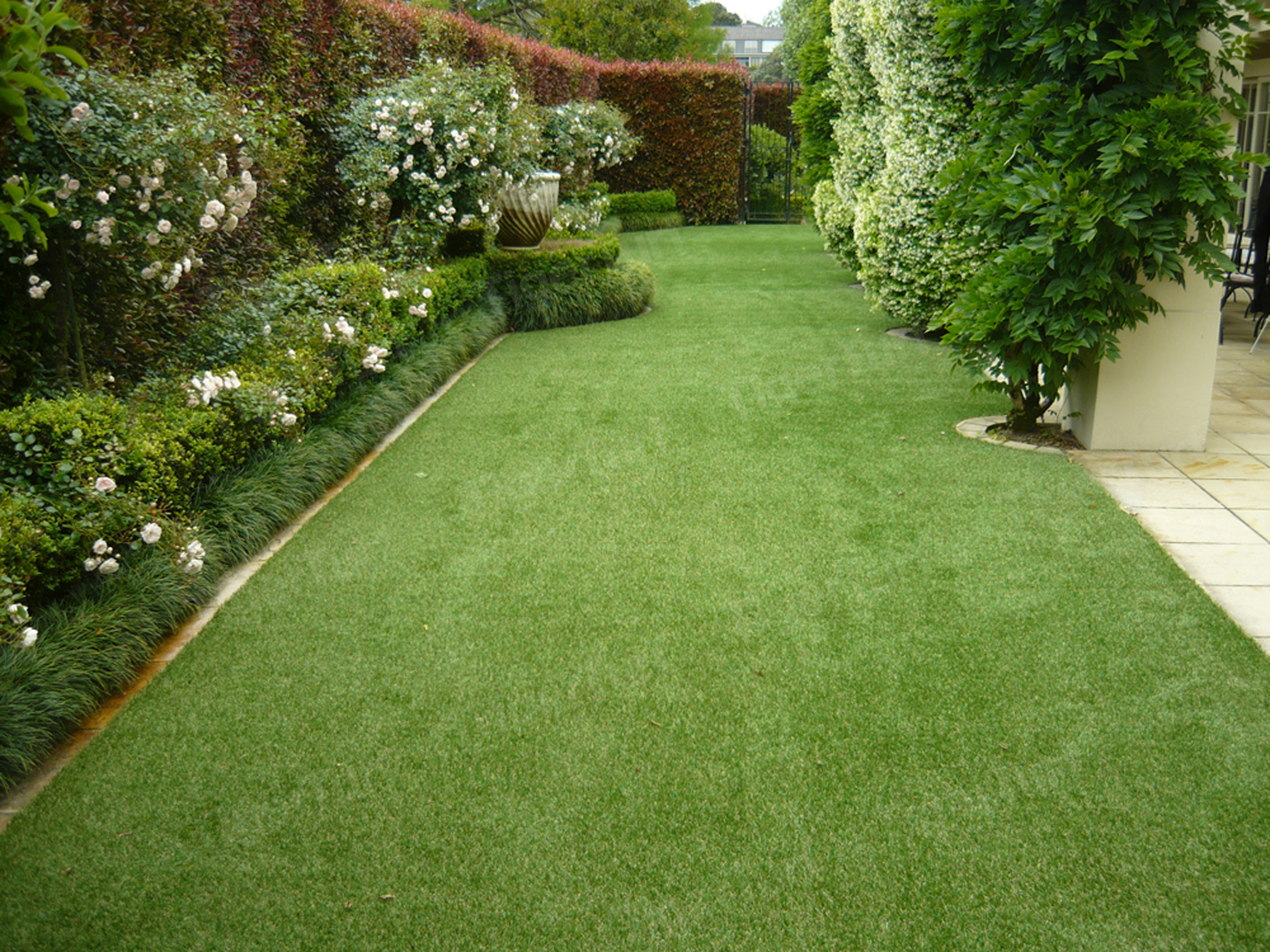 Natural vs Synthetic Lawns 8 Reasons What You Should Have Synthetic