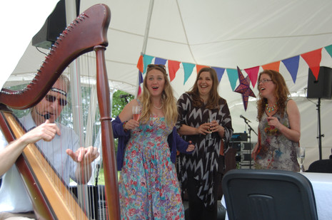 Harp and backing