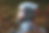 0V3A0379.png