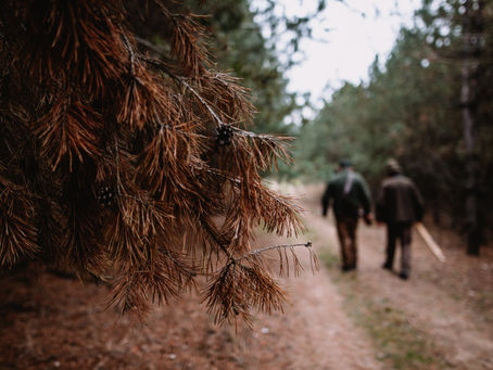 Mentoring New Hunters