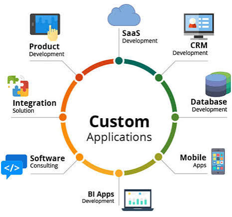 Custom software